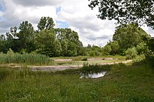 Lähes luonnolliset pienet vesimuodostumat Marienbergparkissa