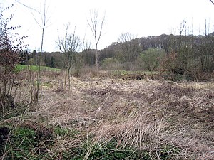 Balkener Feld nature reserve