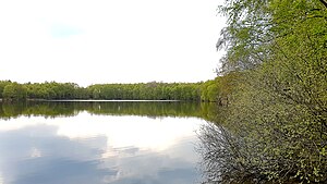 Mining lake in the NSG Roggenmoor (2017)