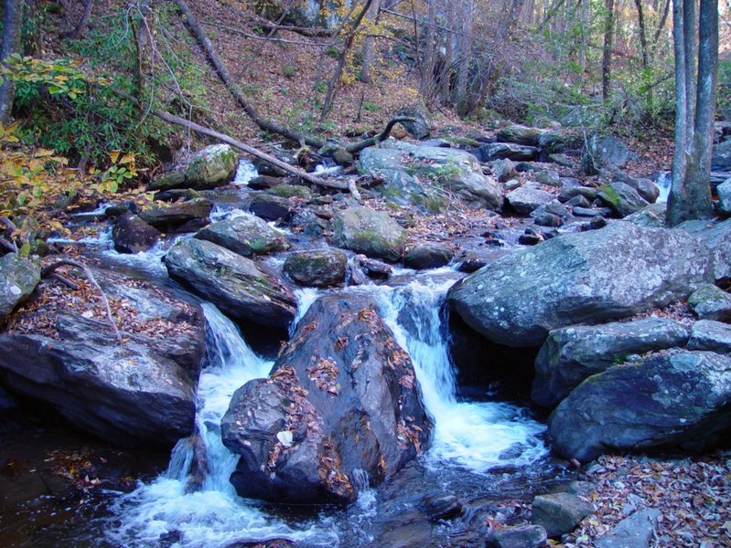 File:Near Anna Ruby falls 12-11-2005 - panoramio.jpg