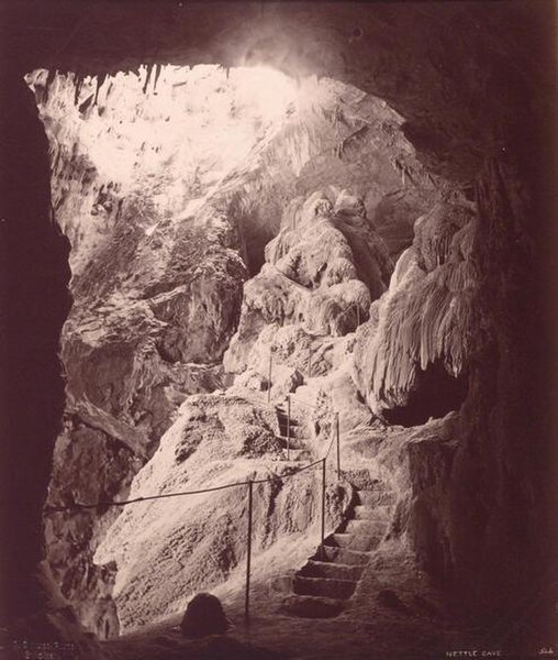 The entrance to Nettle Cave, circa 1888
