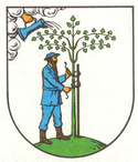 Netzschkau coat of arms.png