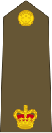 File:New Zealand-Army-OF-3.svg