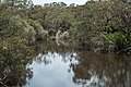 Canning River the two bouys mark the locations of outlets for the oxygenisation of the water