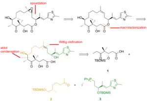 Figure 1 Nicolaou's retrosynthesis of epothilone B (1997).png