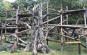 高知県立のいち動物公園