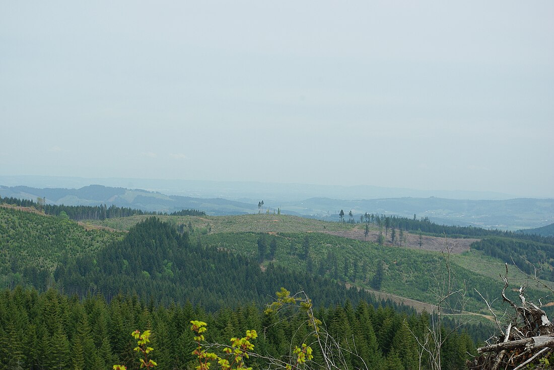 Oregonské pobřežní pásmo