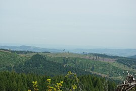 Northern Oregon Coast Range logging area 2 - Washington and Yamhill counties, Oregon.jpg