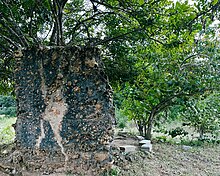 File:Old_mosque_wall_at_Mbuamaji_Ruins,_Somangila,_Kigamboni_MC,_Dar_es_Salaam.jpg