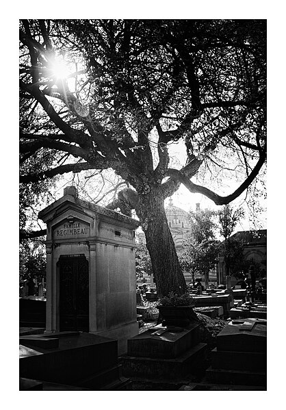 File:Père-Lachaise (50324202122).jpg