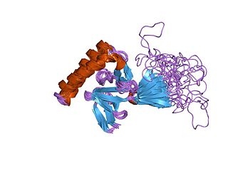 <span class="mw-page-title-main">Translationally controlled tumour protein</span>