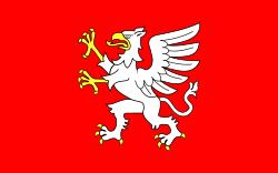 POL Dębica flag.svg