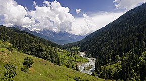 Dolina Pahalgam.jpg