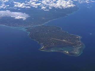 <span class="mw-page-title-main">Panglao Island</span> Island in the province of Bohol in the Philippines