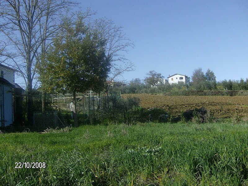 File:Panorama da valiano - panoramio.jpg