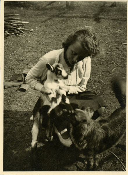 File:Paolo Monti - Serie fotografica - BEIC 6363471.jpg