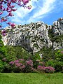 90px-Parc_Saint-Pons_1.jpg