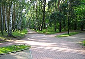Rừng cây trong công viên
