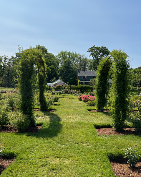 File:Path between arches in Rose Garden at Elizabeth Park.png