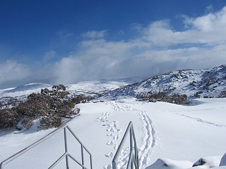 Tracks near Perisher Resort