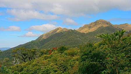 Núi Pulag