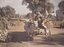 Photograph of rural life in Kapurthala in 1927, a true-colour photograph taken by Albert Kahn Photograph of rural life in Kapurthala in 1927, a true-colour photograph taken by Albert Kahn.jpg