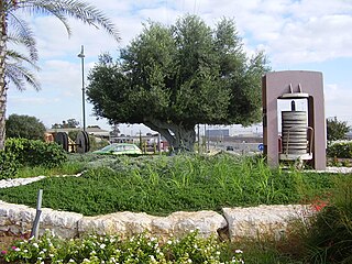 Bnei Darom Place in Central, Israel