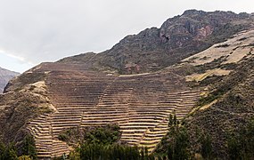 Un flanc de montagne totalement aménagé pour l'agriculture à Písac.