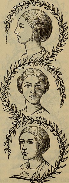 File:Plain home talk about the human system-the habits of men and women-the cause and prevention of disease-our sexual relations and social natures (1896) (14577793548).jpg