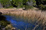 Desembocadura del torrent del Pi (l'Ametlla de Mar)