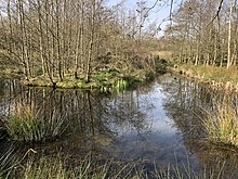 Pond at Humphreystown Wood Pond Humphreystown.jpg