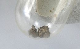 Potarite-206828.jpg