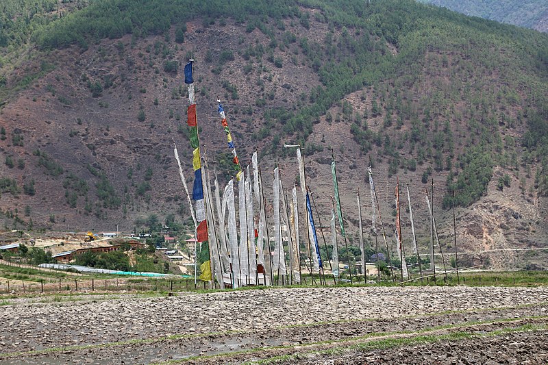 File:Prayer flags, Sopsokha, Bhutan.jpg
