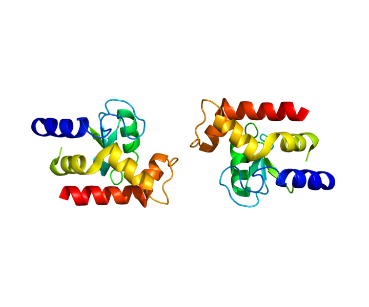 File:Protein ARFGAP1 PDB 3DWD.png