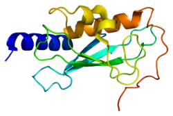 پروتئین Kua-UEV PDB 1j74.png