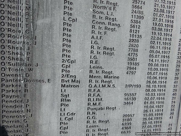 War memorial in Kilkenny, Ireland, listing Matron Elizabeth Kelly Parker (QAIMNS) among First World War deaths; she died of illness contracted while s