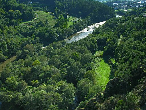 Río Ulla Galicia 043