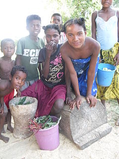 <span class="mw-page-title-main">Mahafaly</span> Ethnic group of Madagascar