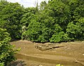 Remains of boat, Saltmill Creek - geograph.org.uk - 3539670.jpg