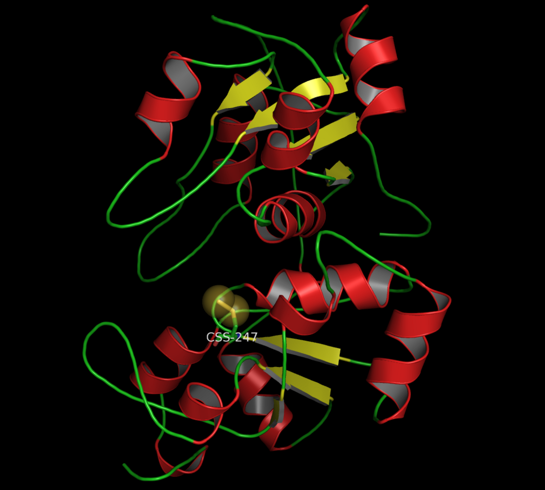 Rhodanese