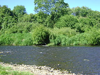 Damas River (Chile)