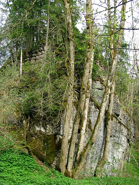 Ruine Baltenstein GO 2