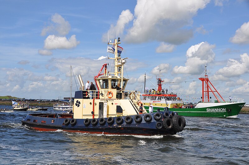 File:Sail Amsterdam 2010 Sail-in (079).JPG