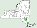 Salvia lyrata NY-dist-map.png