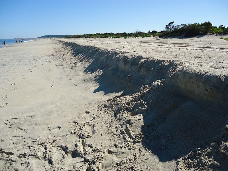 File:Sandy Hook beach NJ sand dune.jpg