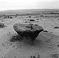 Afloramiento de granito que ha sido socavado por la acción abrasiva de la arena arrastrada por el viento, Llano de Caldera, desierto de Atacama, Chile (Segerstrom, 1962).
