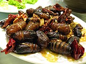 Silkworm pupae to eat.jpg