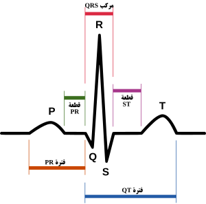 SinusRhythmLabels-ar.svg