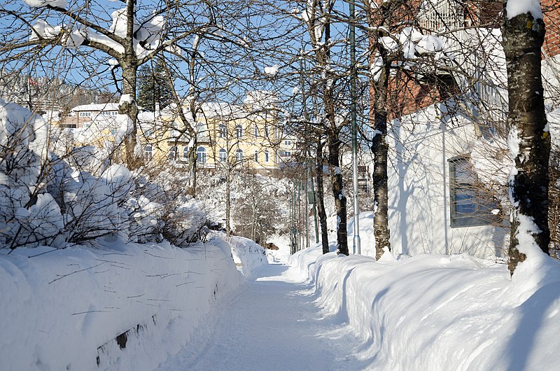 File:Snowy walking path Drammen 02.19 (2).jpg