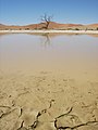 Sossusvlei with water